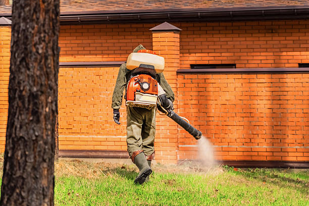 Trusted Ant Control service in Prior Lake, MN - Nex Pest Control